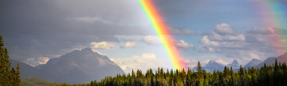 User banner image